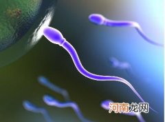 怎么调理精子质量和精子活跃度