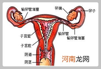 输卵管堵塞疏通疼不疼