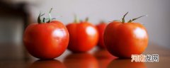 牛腩炖番茄怎么做 牛腩炖番茄如何做