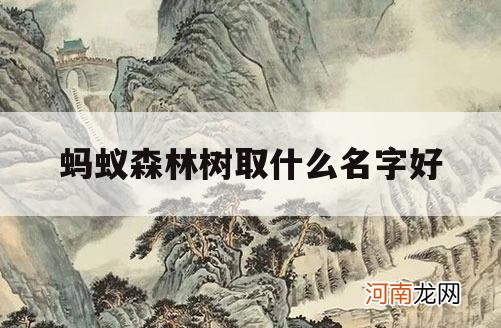 蚂蚁森林树取什么名字好_蚂蚁森林种树可以取名字吗