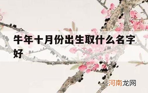 牛年十月份出生取什么名字好_牛年十月出生的宝宝取名