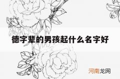 德字辈的男孩起什么名字好_男孩德字辈取名