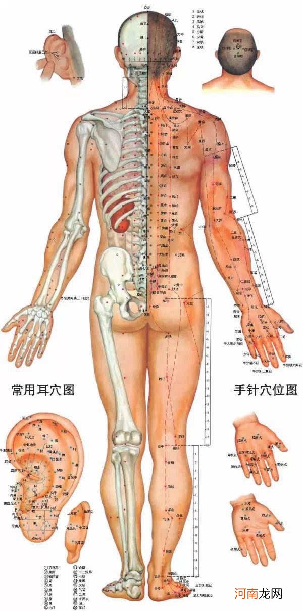 面部穴位图及按摩作用