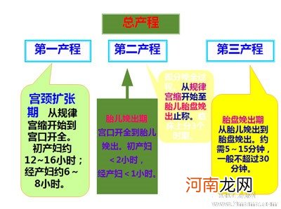 专家分析水中分娩的优缺点