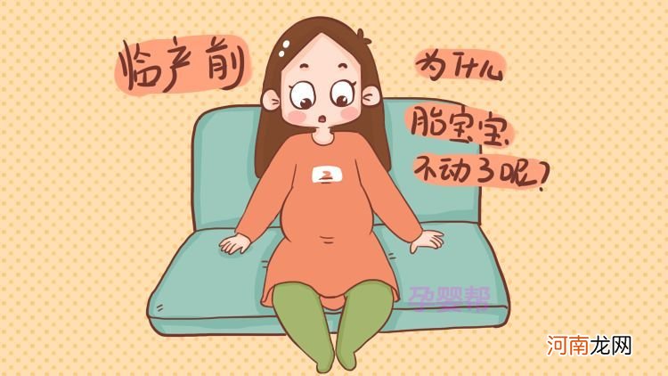 孕22周胎动在毛毛那里