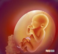 22周的胎儿有多少斤