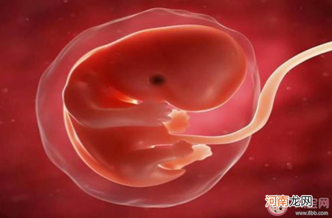 胎儿|胎儿在母体内会排便吗 胎儿的尿液粪便都排到哪里了