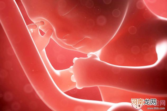 胎儿|胎儿在母体内会排便吗 胎儿的尿液粪便都排到哪里了