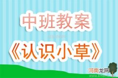 附教学反思 中班科学活动教案：认识小草教案