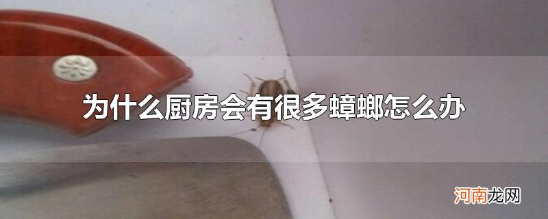 为什么厨房会有很多蟑螂怎么办