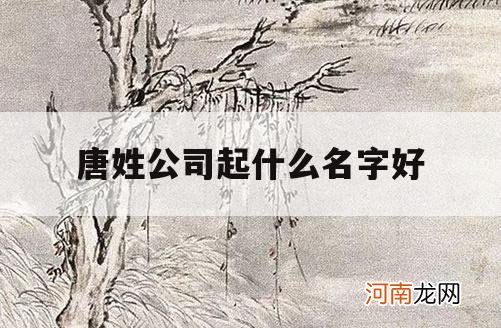 唐姓公司起什么名字好_姓唐能起什么名字