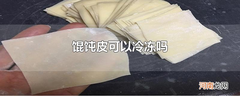 馄饨皮可以冷冻吗