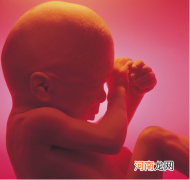 孕20周让胎儿有一双明亮的眼睛