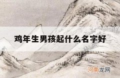 鸡年生男孩起什么名字好_鸡年生男孩取什么名字