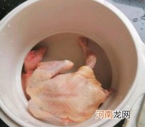 美容补血益气鸽子汤 鸽子汤怎么炖补气血