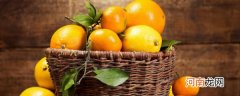 橙子种植方法和管理 橙子的种植技巧