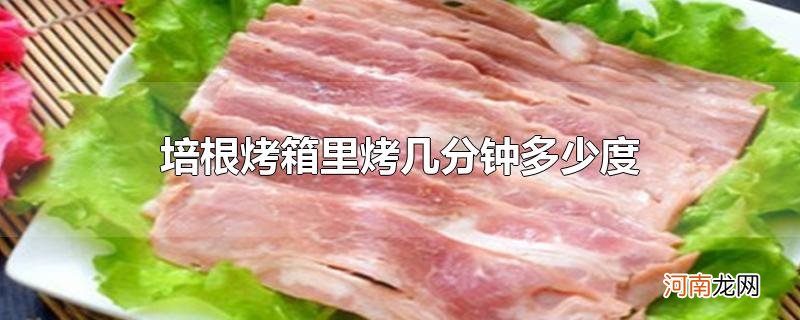 培根烤箱里烤几分钟多少度