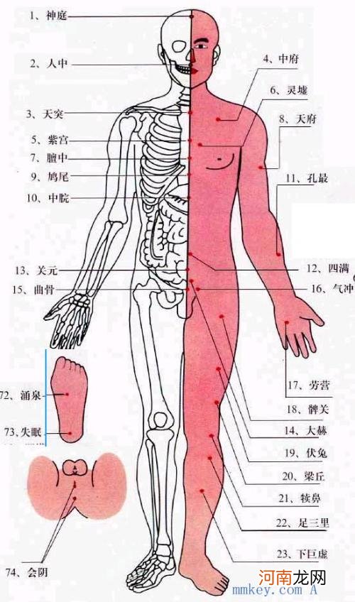 脚上的穴位图