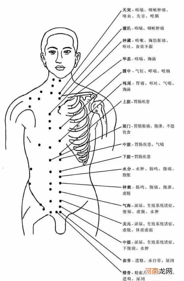 详细脚面部穴位图解大全