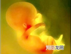 怀孕8周胎儿发育及重点关注