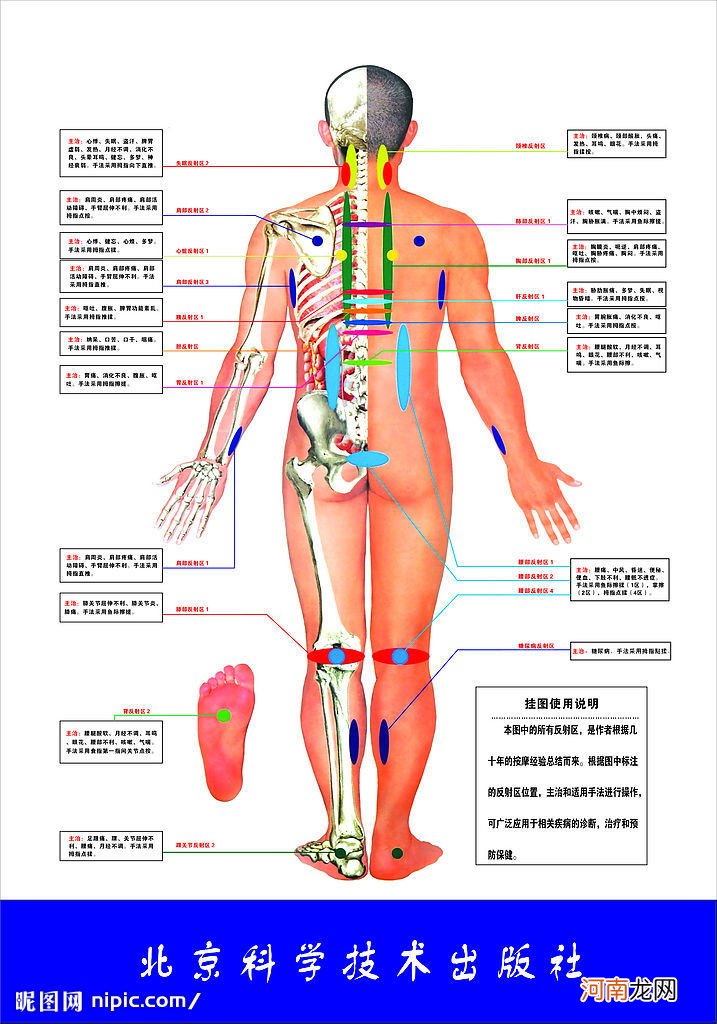 头疼腿疼按摩穴位图