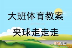 大班健康活动有趣的夹球投篮教案反思