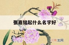 张嘉铭起什么名字好_张嘉铭名字打分测试