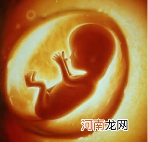 专家：胎儿没想象中那么娇气