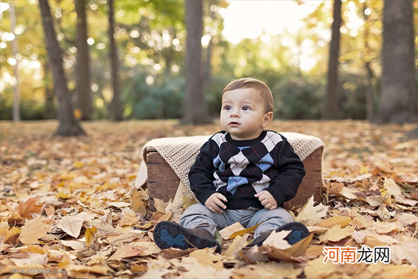 都说单月怀孕是男孩 2022年必生男孩的月份有哪些