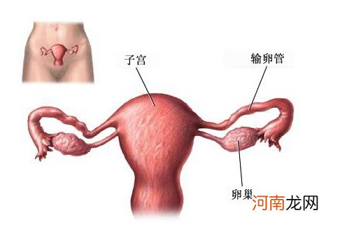 输卵管远端堵塞怀孕几率多少