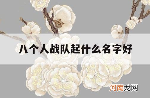 八个人战队起什么名字好_八个人的队名取什么好