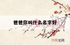 爸爸你叫什么名字好_你叫什么名字不知道你爸爸叫什么名字