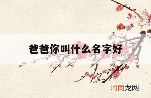 爸爸你叫什么名字好_你叫什么名字不知道你爸爸叫什么名字