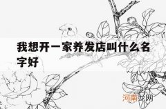 我想开一家养发店叫什么名字好_想开一个养发护发的店