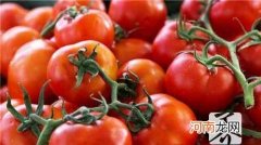 西红柿营养价值有那些 西红柿的营养价值及功效v