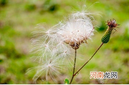 宝宝一发烧就用美林布洛芬？多数家长都会犯错！