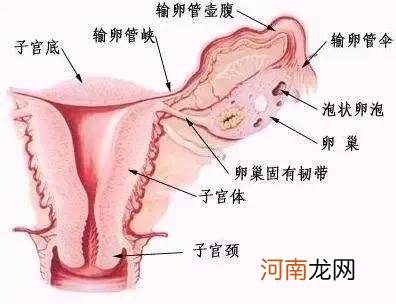 去医院检查输卵管流程