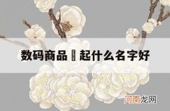 数码商品痁起什么名字好_数码品牌名字大全