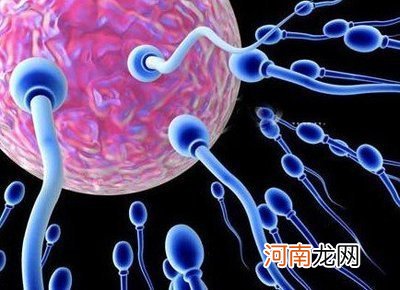 精子一般多久成熟