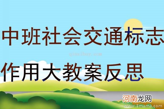 中班社会认识交通标志教案反思