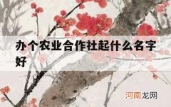 办个农业合作社起什么名字好_农业合作社名字取什么好呢?