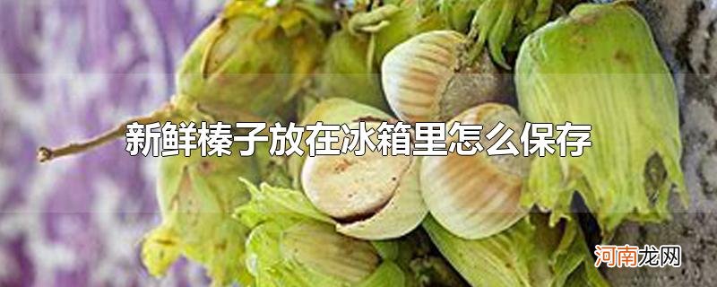 新鲜榛子放在冰箱里怎么保存