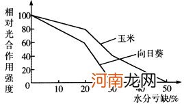 大椎和定喘怎么区分