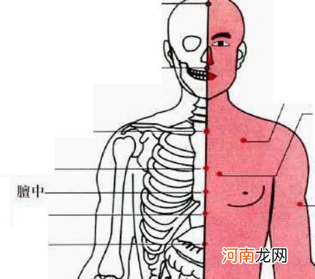 小儿止咳贴贴位置图片