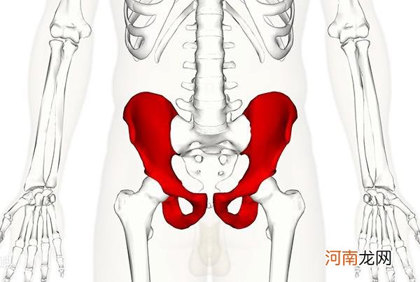 膻中准确位置图片图