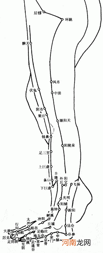 手三里的准确位置图