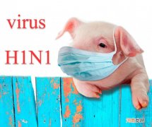 甲型H1N1流感症状？ 甲流甲流感症状有哪些