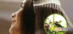 巧用橄榄油能护发养发 橄榄油护发是吃的橄榄油吗