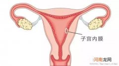 孕晚期子宫壁正常厚度