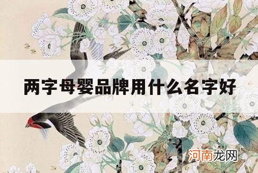 两字母婴品牌用什么名字好_两字品牌名字大全